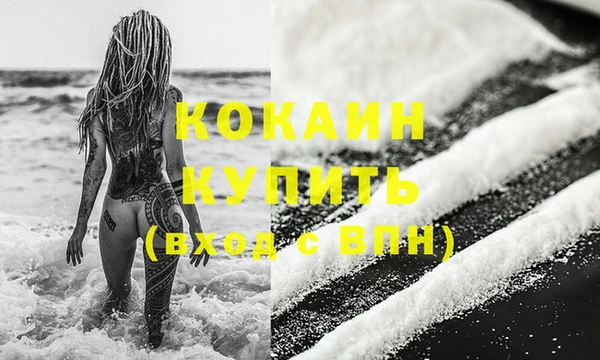 соль ск Арсеньев