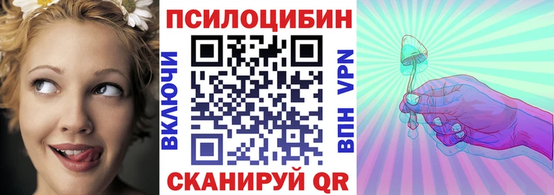 shop телеграм  Сольцы  Псилоцибиновые грибы Psilocybe 